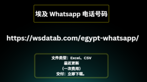 埃及 Whatsapp 电话号码